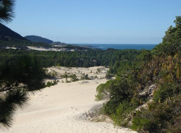 Pousada Mocamba Dunas Beach Florianópolis Kültér fotó